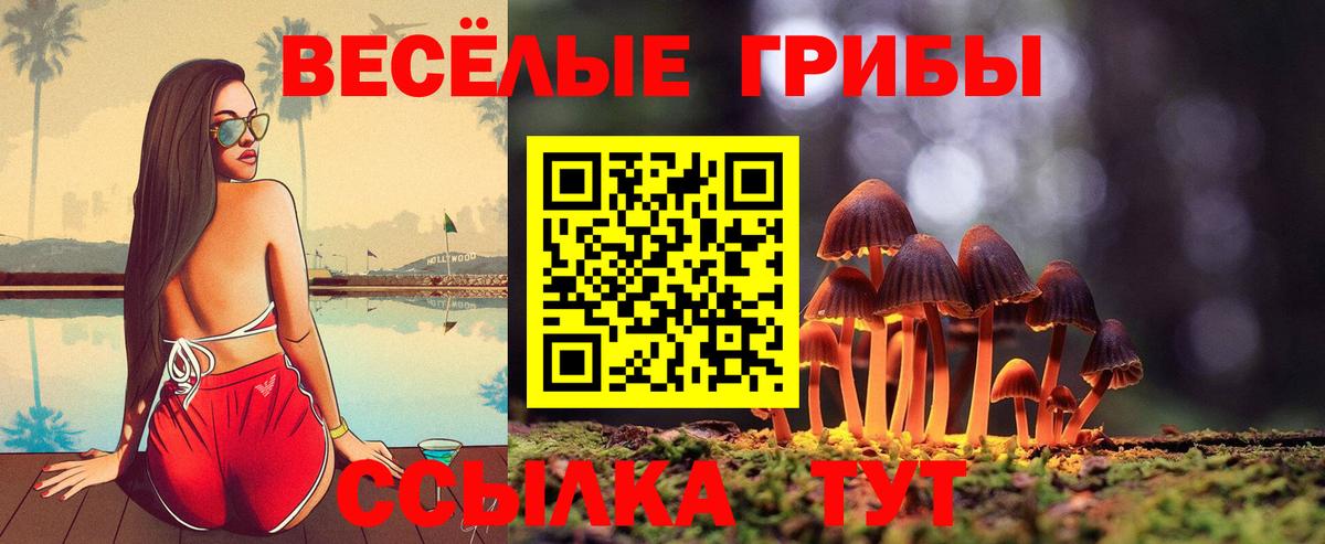 Псилоцибиновые грибы ЛСД Прокопьевск